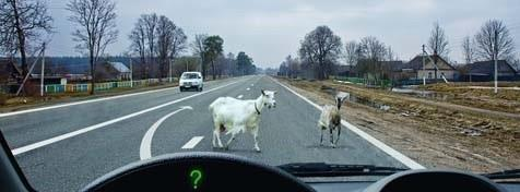 Official question image. Visual interpretation is required to answer.